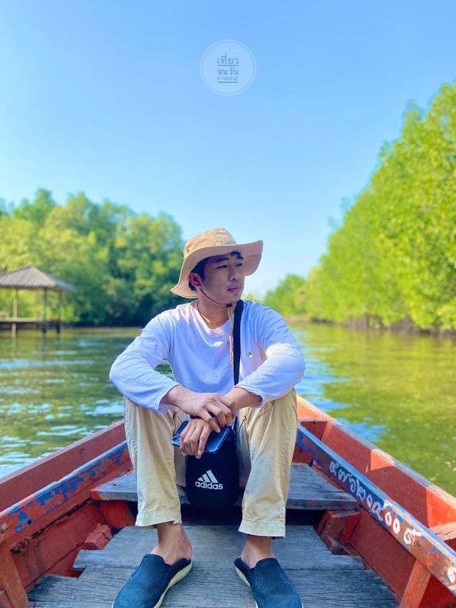 ล่องเรือชมป่าชายเลนที่ปากน้ำประแสร์