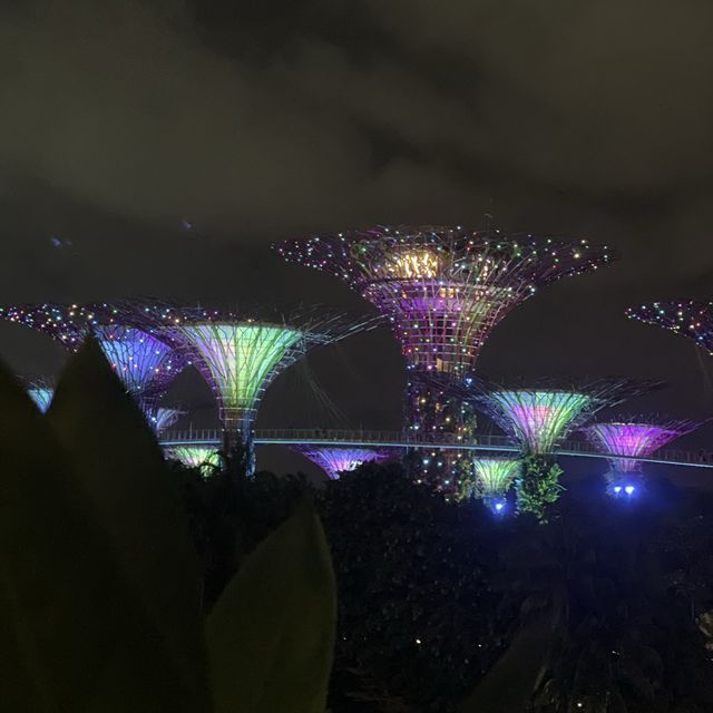 An Enchanted Garden