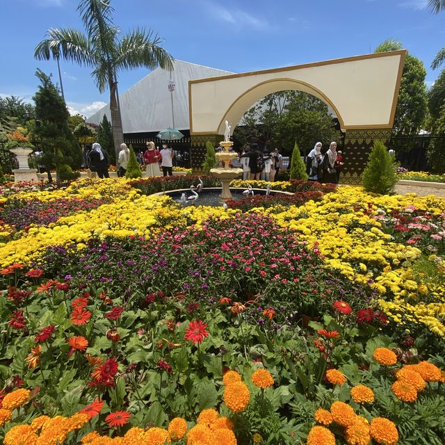 Floria 2022