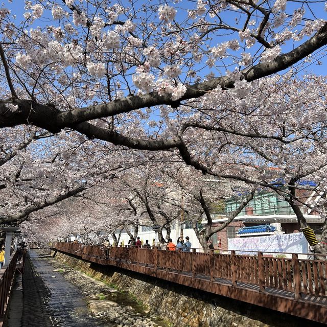 경남 벚꽃 명소, 진해 여좌천 로망스다리