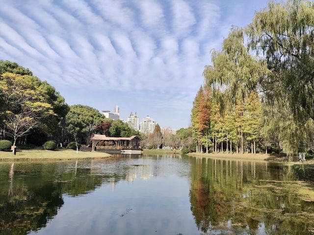 Shanghai Century Park