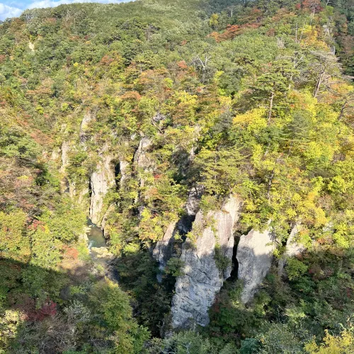 【宮城】色づきはじめた紅葉が美しいスポット