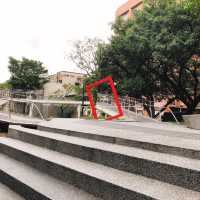 🐶🐰🐻🐤🐧可愛小動物的裝置藝術🎨台北捷運中山站線形公園 Zhongshan Linear Park