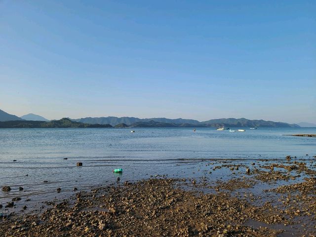 【CP值最高的紅樹林~泥涌🌴】