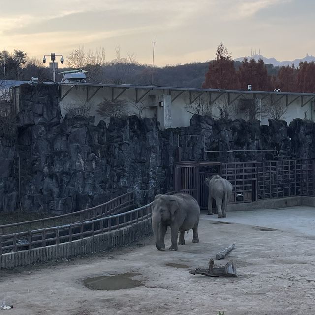 단풍 보며 데이트 하기 좋은 명소, 서울 대공원