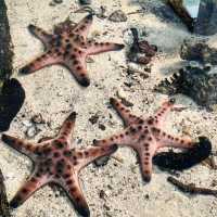 Aquarium Phuket