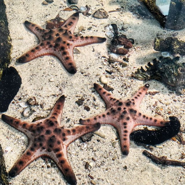 Aquarium Phuket
