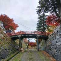 岩手県！盛岡城跡公園の紅葉