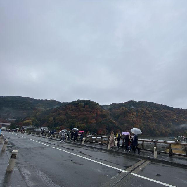 京都的山與水 - 「桂川」與「渡月橋」