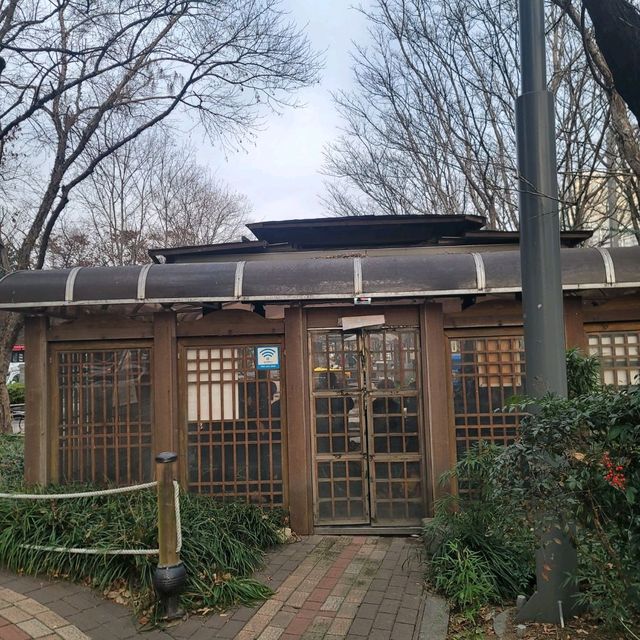 겨울여행 대전 인기 스팟 유성온천 족욕 체험장