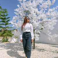 ฟาร์มสุข คาเฟ่ มหาสารคาม