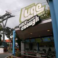 Skyline Luge
