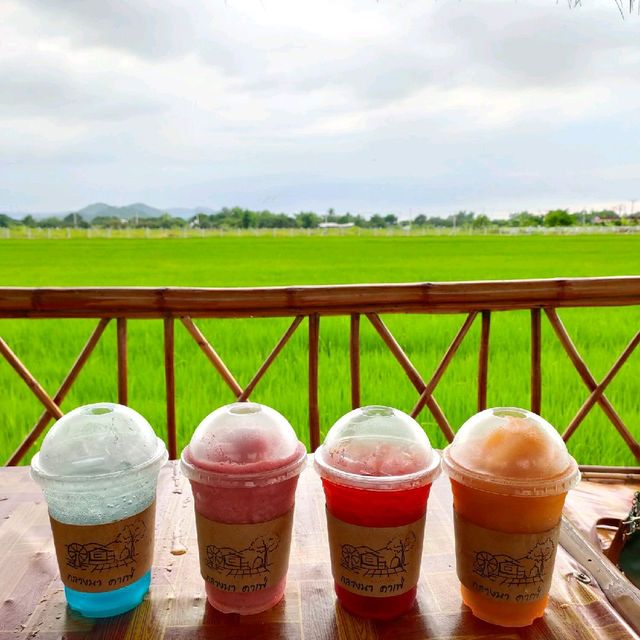 กลางนาคาเฟ่

 นครนายก