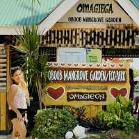 Mangrove