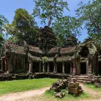 Ta Prohm Temple