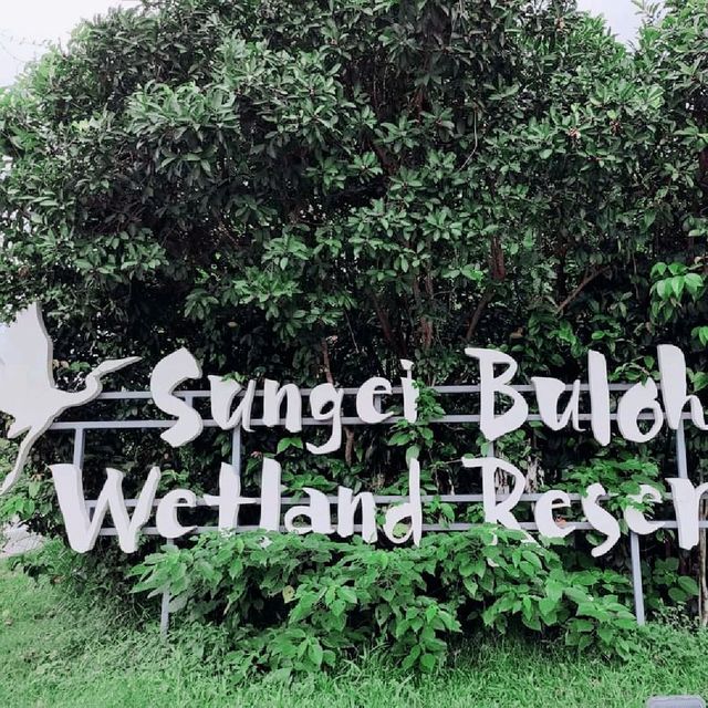 Sungei Buloh Wetland Reserve