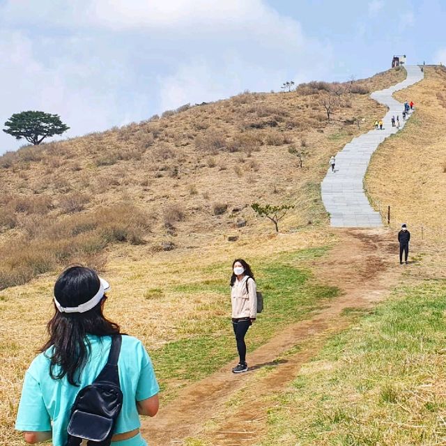5월엔 철쭉가득 황매산🌸🌺