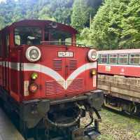 Riding the historical Alishan Forest Railway 