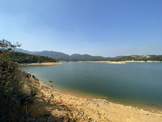 帶你近距離欣賞大欖水塘