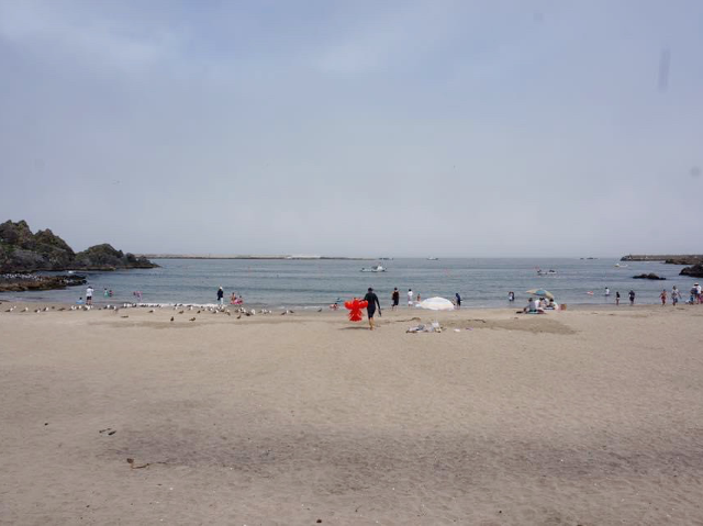 青森縣最北端的㊙️景👉🏻👉🏻蕪島📸️ ‘海鷗島’