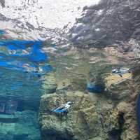【京都】京都水族館に行ってきた！