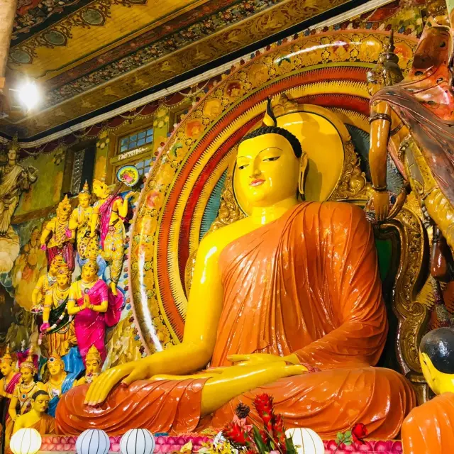 スリランカ🇱🇰