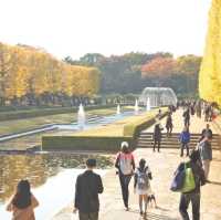 国営昭和記念公園⛲️