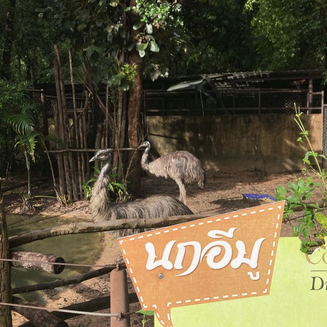 🦋Ubon Jungle Park🌿