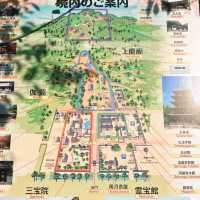 【京都】豊臣秀吉の豪華絢爛ぶりを感じる