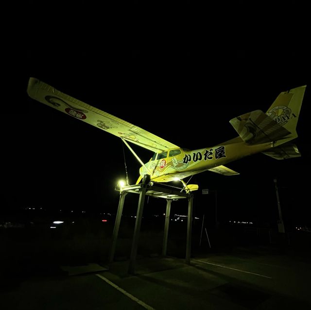 高知県　空港近くの鰻屋さん