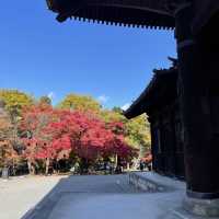 【京都府】秋の南禅寺三門から絶景をたのしむ