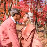 ญี่ปุ่น Autumnแล้วน๊าลากแฟนไปเร็วแก