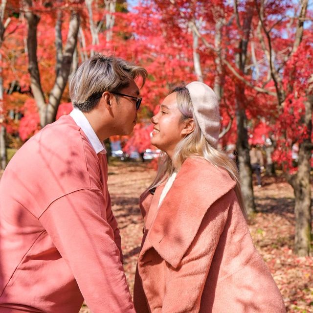 ญี่ปุ่น Autumnแล้วน๊าลากแฟนไปเร็วแก