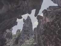 Stone Forest Geological Park@Kunming