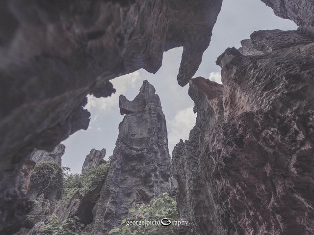 Stone Forest Geological Park@Kunming