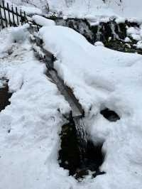 눈오는 날 더 매력적인 후키다시 공원 🏞️