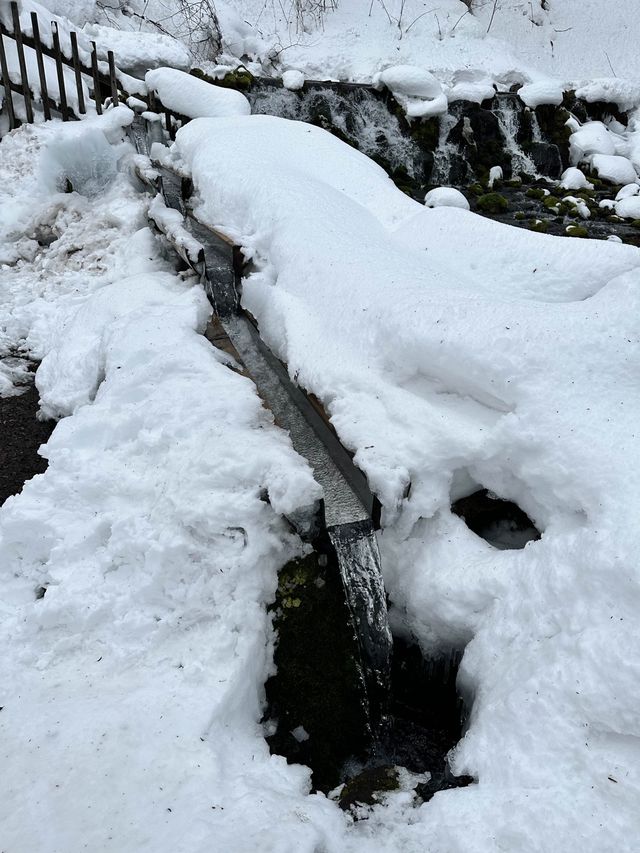 눈오는 날 더 매력적인 후키다시 공원 🏞️