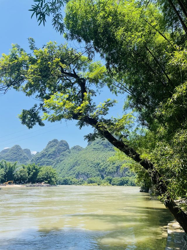 Li River Cruise, Yangshuo🌿🌳🌲