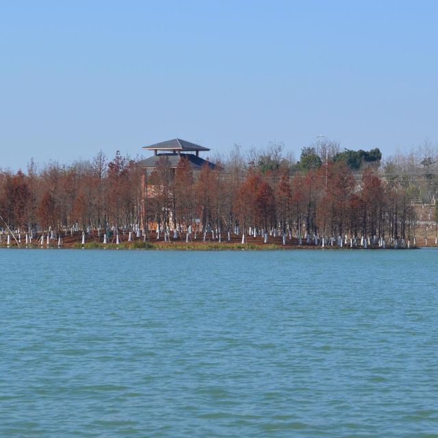 Xinlong Ecological Forest - Changzhou 