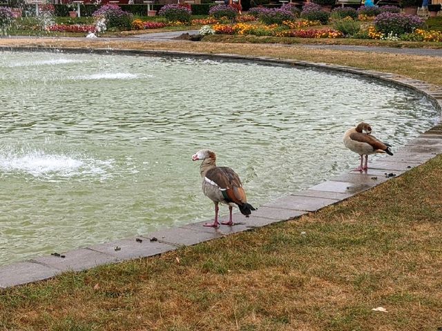 【ドイツ】宮殿を望む美しい庭園@ルードヴィヒスブルグ
