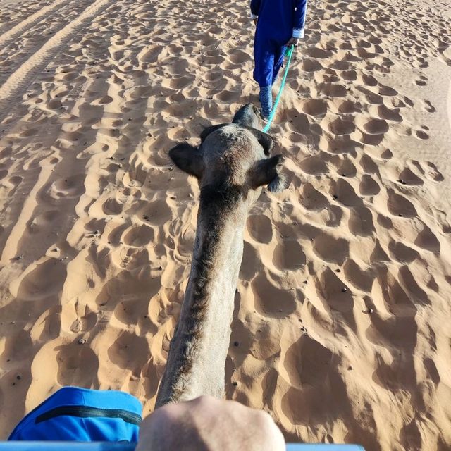 Morocco Sahara Desert Camel Ride