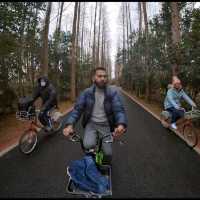Biking at Dongping National Park - Shanghai