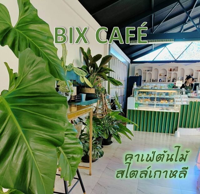 BIX CAFE' คาเฟ่ต้นไม้สไตล์เกาหลี