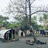 the island of the film about Vanuatu tribes