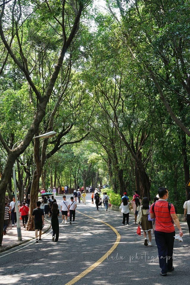 Guangzhou Surrounding Tour | Xiqiao Mountain · Foshan Off-the-Beaten-Path Hiking Route Guide