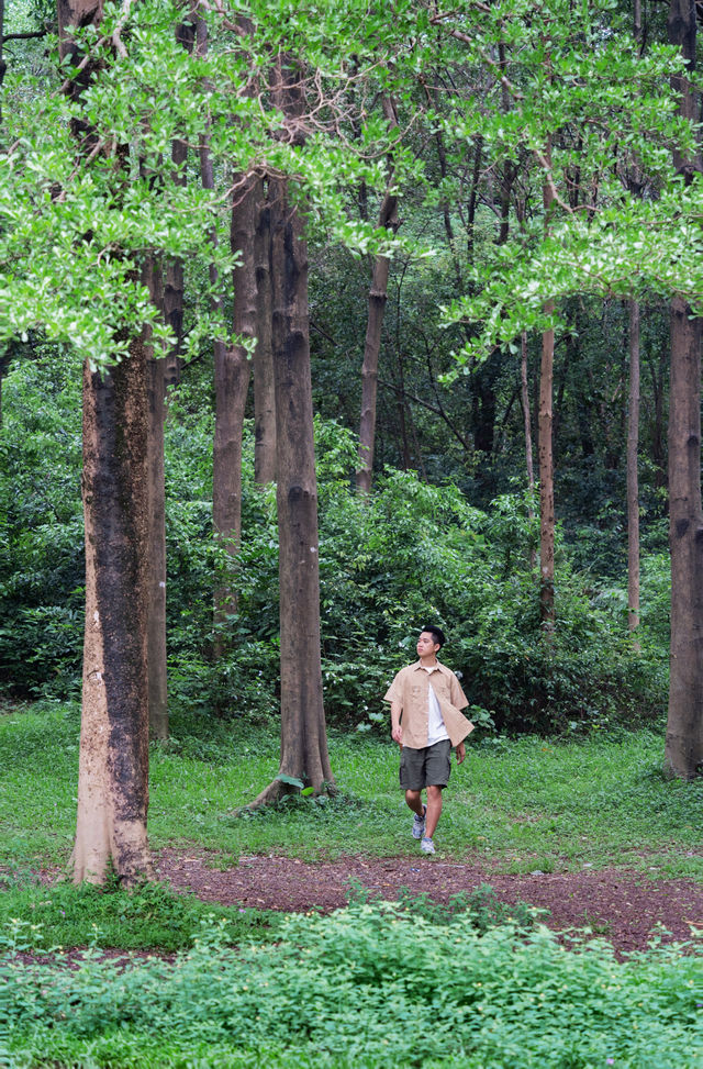 Found the real-life version of "The Wizard of Oz" in Guangzhou, breathtakingly beautiful ❗️