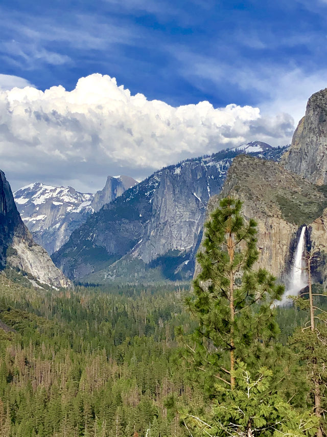 California | Yosemite National Park Photo Sharing 2