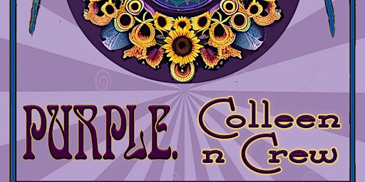 Purple + Colleen n Crew : Double Header at Bethesda Boards | Bethesda Boards >> The Alley