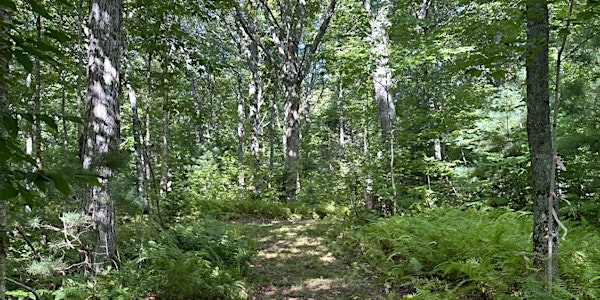 Walk the Hand-Built Trails of Bruce McCallum’s Woodlot | 110 Hazel Grove Rd