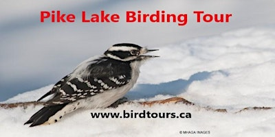 Pike Lake Winter Birding Tour | Western Development Museum parking lot